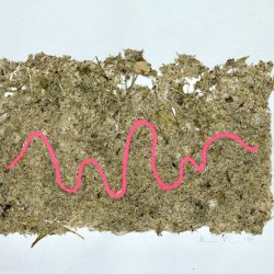  Brennnesselpapier III, Acryl auf Brennnesselpapier, 40 x 50cm, 2021